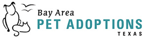 Bay Area Pet Adoptions